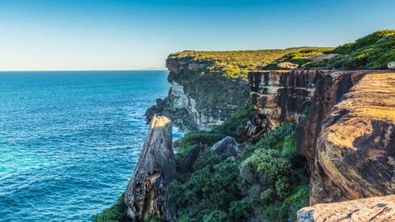 From Sydney: Royal National Park Private Tour - An In-Depth Look at the Royal National Park Private Tour