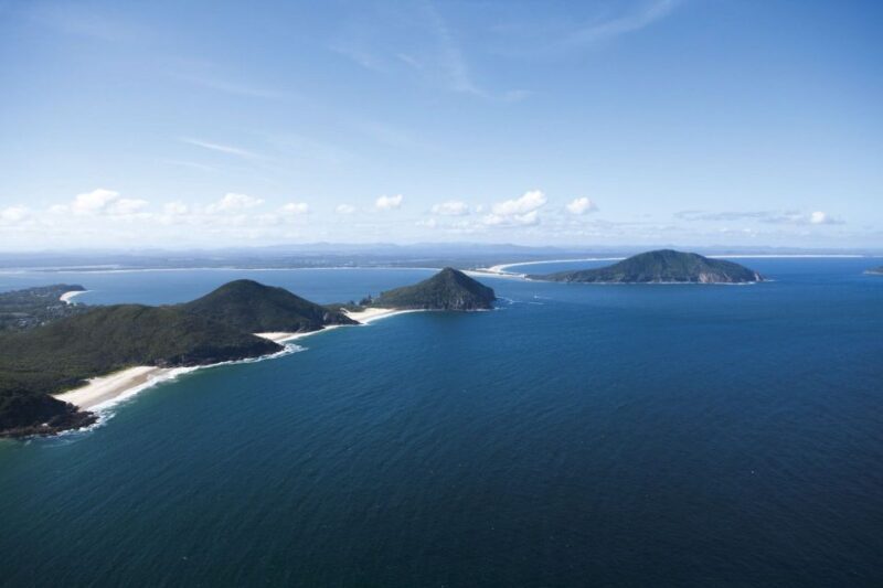 From Sydney: Small Group Port Stephens Whales & Dunes Combo - Whale Watching Cruise: Up Close with Gentle Giants