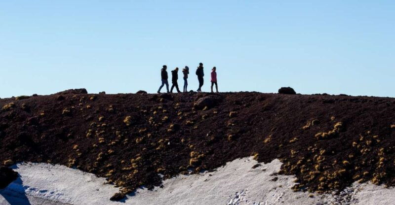 from-syracuse-etna-volcano-zafferana-etnea-private-tour