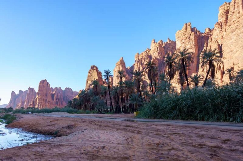 From Tabuk: Wadi Al Disah Private Tour - Discovering Wadi Al Disah’s Natural Beauty