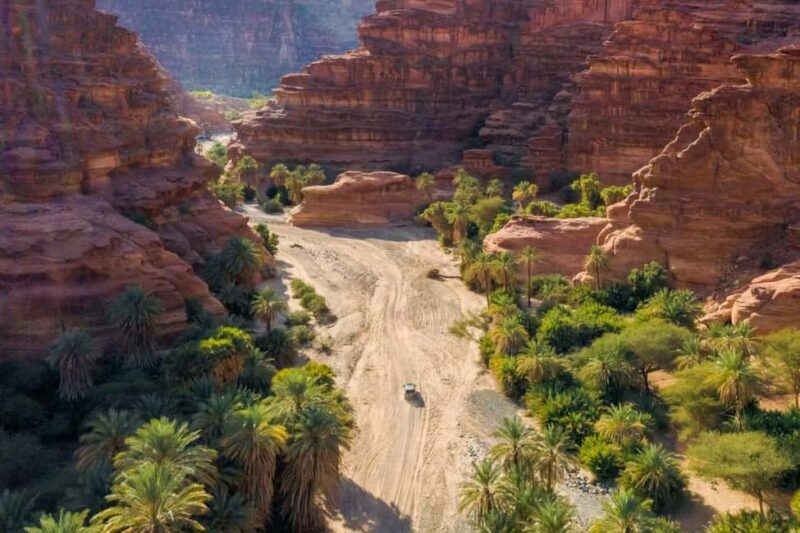 From Tabuk: Wadi Al Disah Private Tour - Archaeological and Cultural Highlights