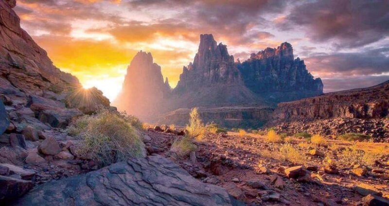 From Tabuk: Wadi Al Disah Private Tour - Final Thoughts: Who Will Love This Tour?  