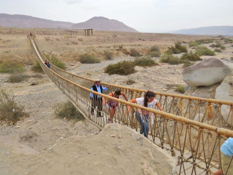 from-tacna-tourist-circuit-by-mirabus-in-tacna