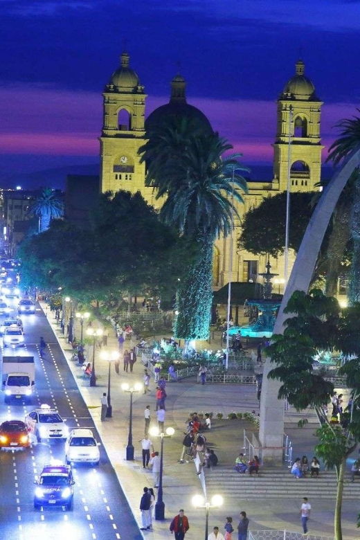 from-tacna-tourist-circuit-by-mirabus-in-tacna