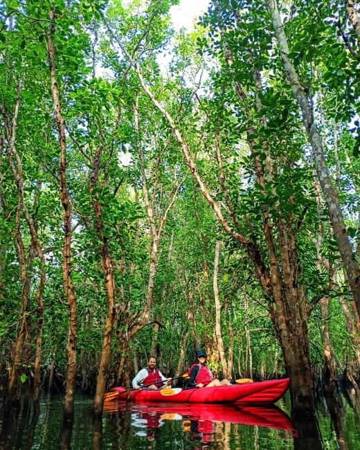From Tagbilaran City/Panglao Island: Bohol Mangrove Kayaking - FAQs