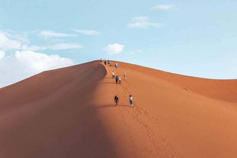 From Taghazout: Excursion Quad Bike & Visit Canyon - Authentic Insights from Reviewers