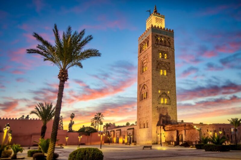 From Taghazout: Marrakech Guided Tour - Who This Tour Is Perfect For