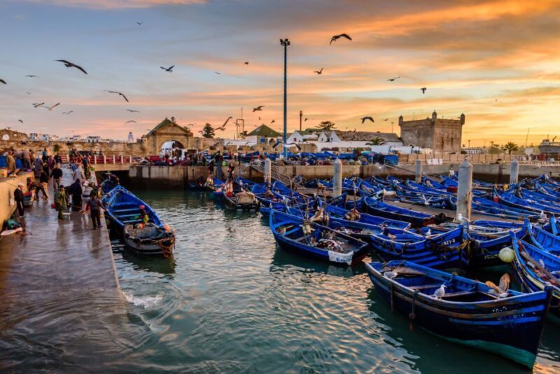 From Taghazout: Medina of Essaouira Guided Day Trip - Key Points