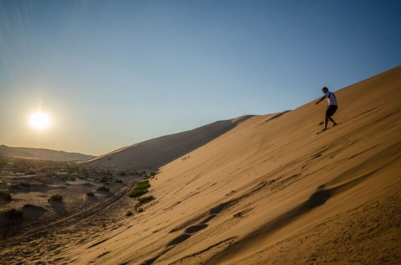 From Taghazout: Tamri Dunes Sandboarding with Sunset Dinner - The Sum Up