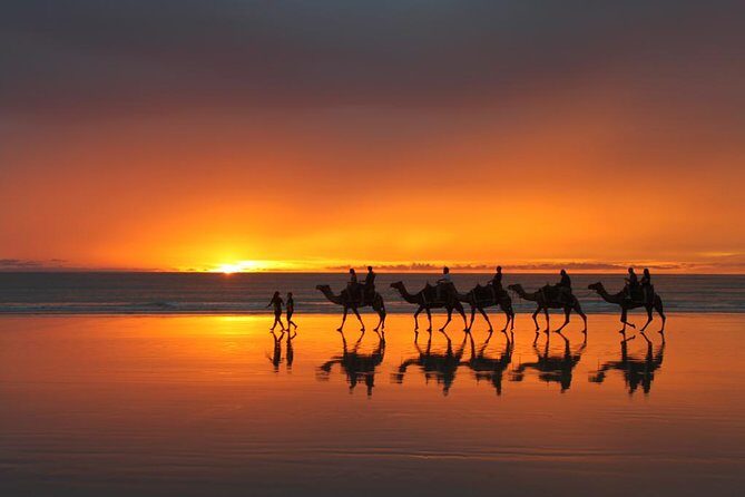 From Taghazoute : 2 Hours Agadir Camel Ride With Transfers and Tea Break - Key Points