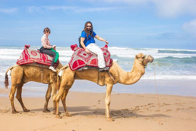 From Taghazoute : 2 Hours Agadir Camel Ride With Transfers and Tea Break - Discovering the Charm of a Camel Ride in Morocco