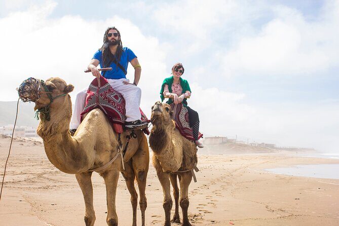 From Taghazoute : 2 Hours Agadir Camel Ride With Transfers and Tea Break - The Experiences Highlights