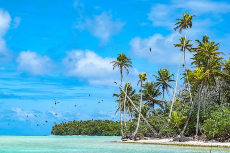 From Tahiti: Tetiaroa Island Tour by Sailing Catamaran - Free Time on Tetiaroa: Relaxing and Exploring