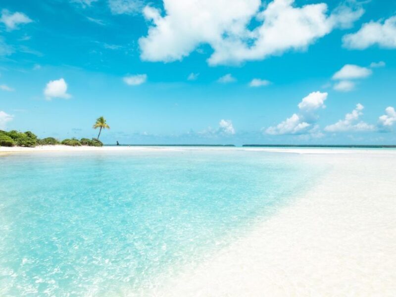 From Tahiti: Tetiaroa Island Tour by Sailing Catamaran - Who Will Love This Tour?