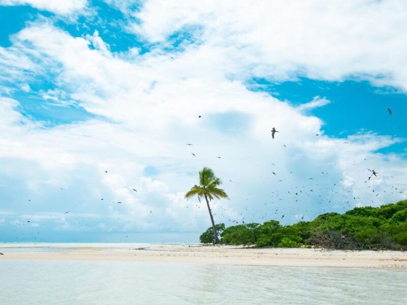 from-tahiti-tetiaroa-island-tour-by-sailing-catamaran