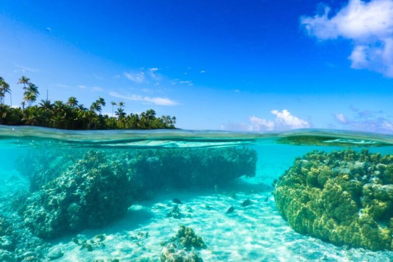 from-tahiti-tetiaroa-island-tour-by-sailing-catamaran