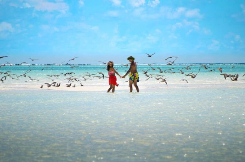 from-tahiti-tetiaroa-island-tour-by-sailing-catamaran