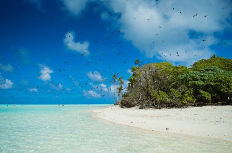 from-tahiti-tetiaroa-island-tour-by-sailing-catamaran