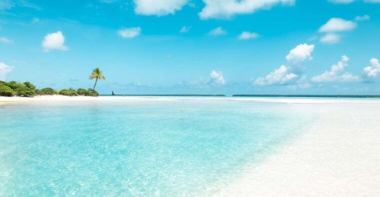 from-tahiti-tetiaroa-island-tour-by-sailing-catamaran