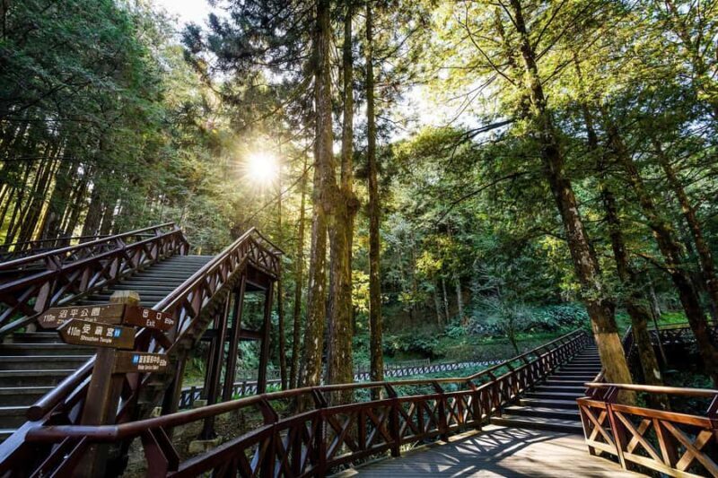 From Taipei: Alishan 2 Days Private Tour - Evaluating the Value