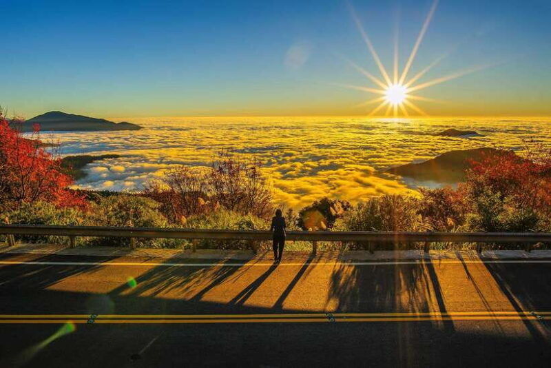 from-taipei-city-3-day-sun-moon-lake-alishan-private-tour