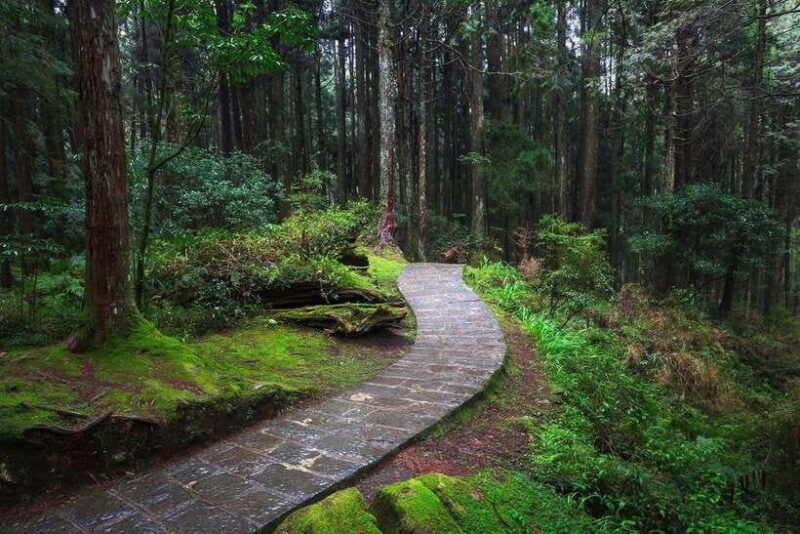 from-taipei-city-3-day-sun-moon-lake-alishan-private-tour