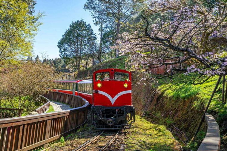 from-taipei-city-3-day-sun-moon-lake-alishan-private-tour