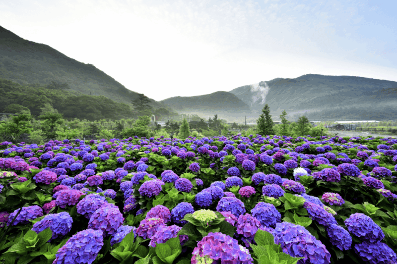 from-taipei-customize-your-northern-taiwan-itinerary