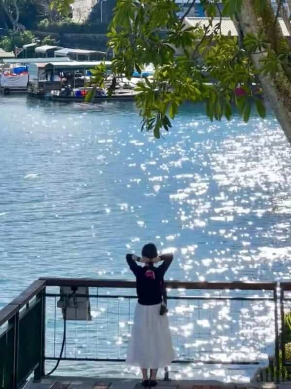 From Taipei or Taichung: 2-Day Alishan & Sun Moon Lake Tour - Why This Tour Offers Great Value