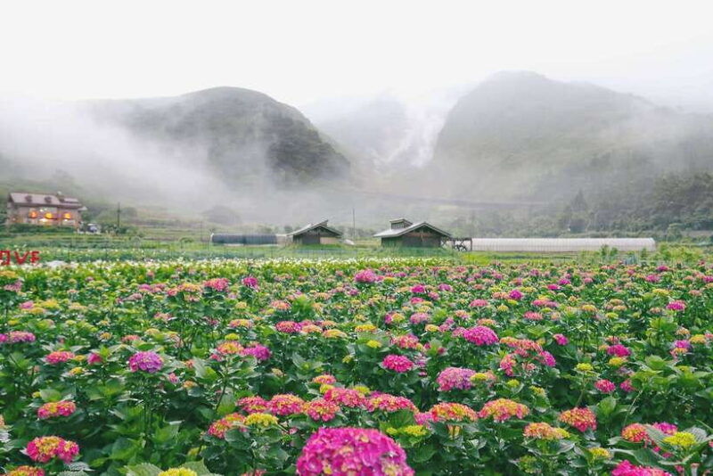 from-taipei-private-yangmingshan-volcano-and-nature-tour