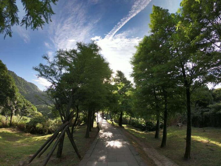 from-taipei-private-yangmingshan-volcano-and-nature-tour