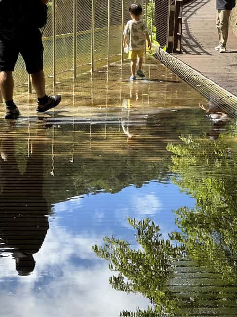 From Taipei: Sandiaoling & Makang Private Guided Day Trip - Food and Refreshments