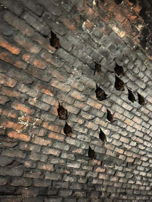 From Taipei: Sandiaoling & Makang Private Guided Day Trip - FAQ