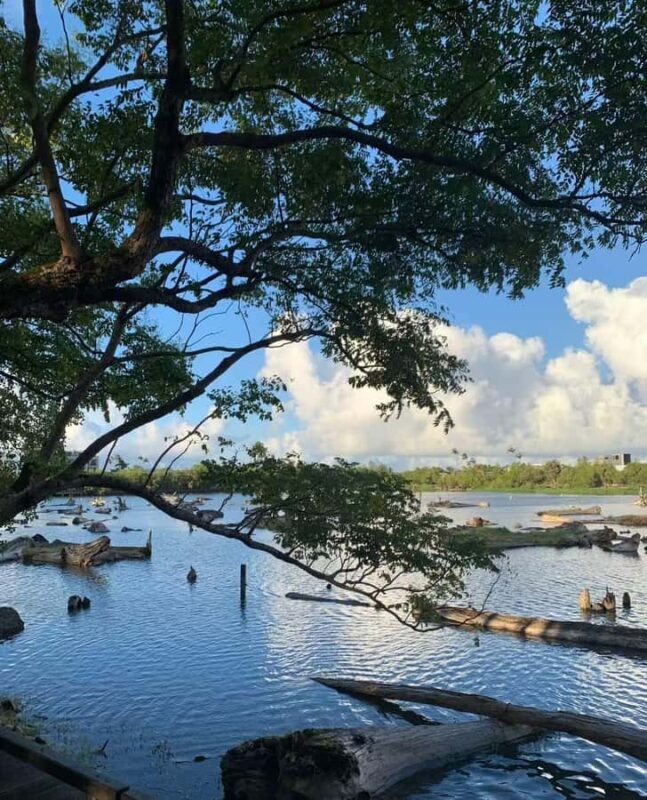 From Taipei to Yilan: Stories of Art, Nature, and Local Life - Authentic Experiences and Unique Insights