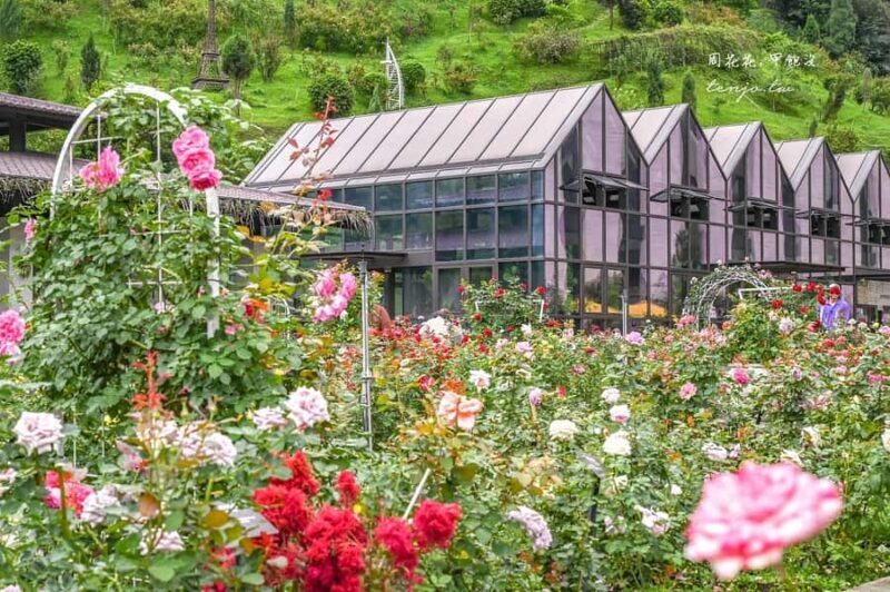 From Taipei: Water Activities Day Tour with Night Market - Evening at Ningxia Night Market