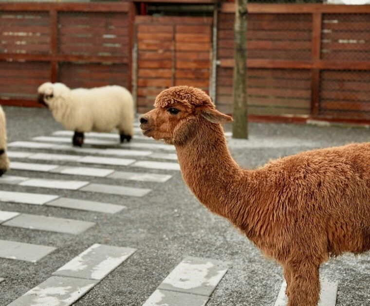 from-taipei-yilan-private-tour-with-kavalan-arts-visit