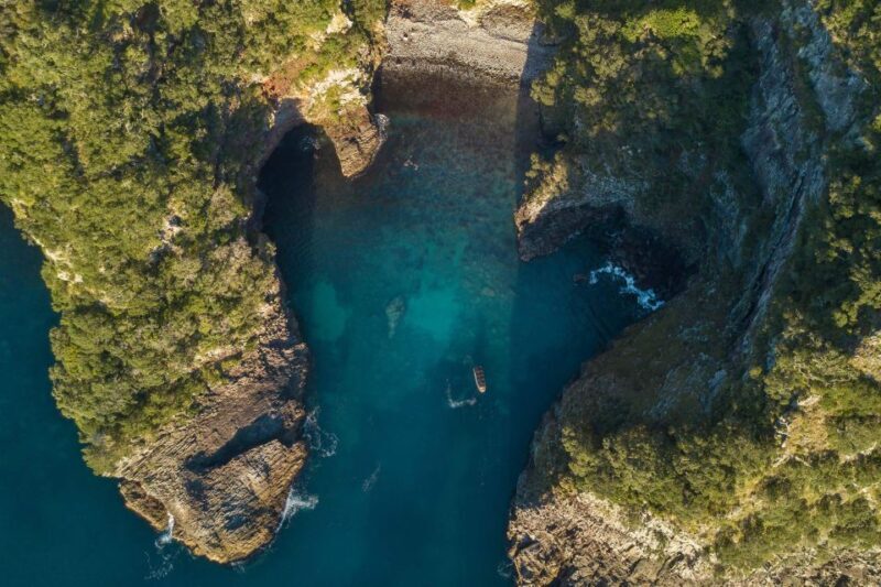 From Tairua: 2 Hour Cathedral Cove Tour with Local Guide - Discovering the Coastline: What to Expect on the Tour