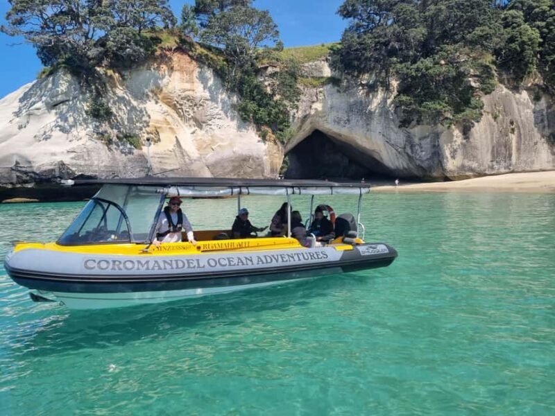 From Tairua: 2 Hour Cathedral Cove Tour with Local Guide - The Value: Is It Worth the Price?