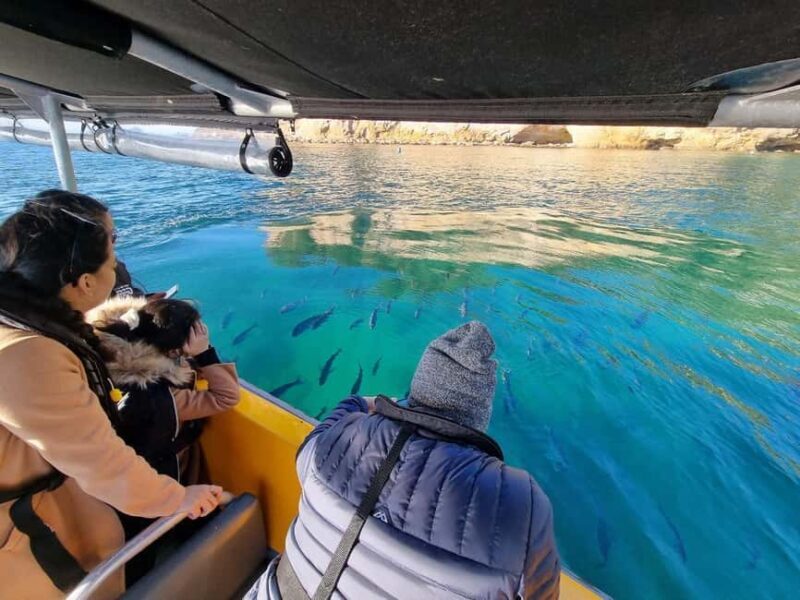 From Tairua: 2 Hour Cathedral Cove Tour with Local Guide - Detailed Breakdown of the Itinerary