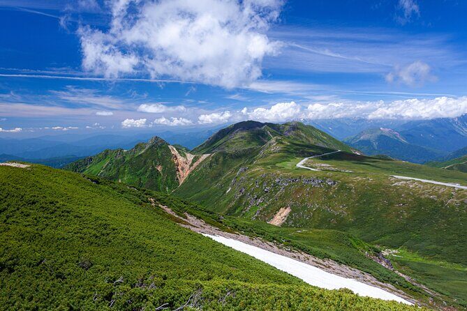 From Takayama Mt. Norikura Alpine Flowers and Panoramic Peaks - Who is This Tour Best Suited For?