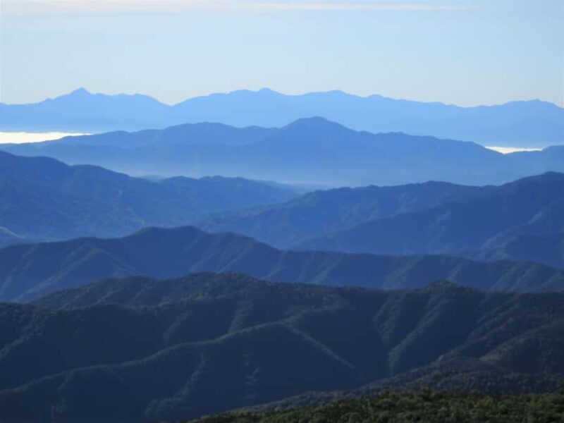 From Takayama: Mt. Norikura Alpine Flowers & Panoramic Peaks - Who Will Love This Tour?