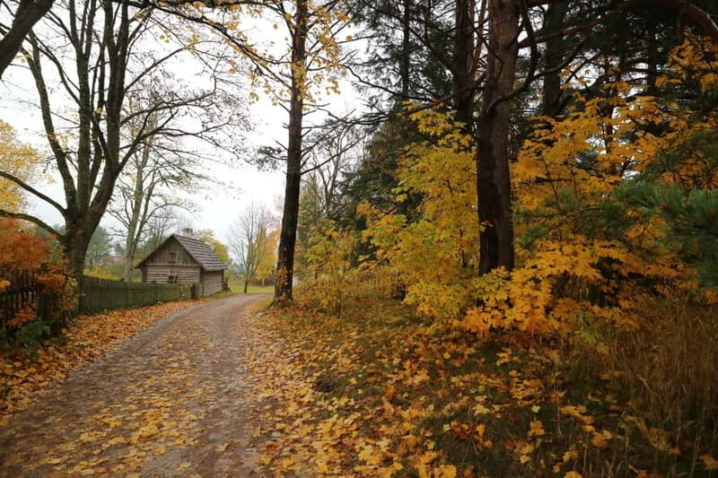 From Tallinn: Day Trip to Lahemaa National Park - Final Thoughts
