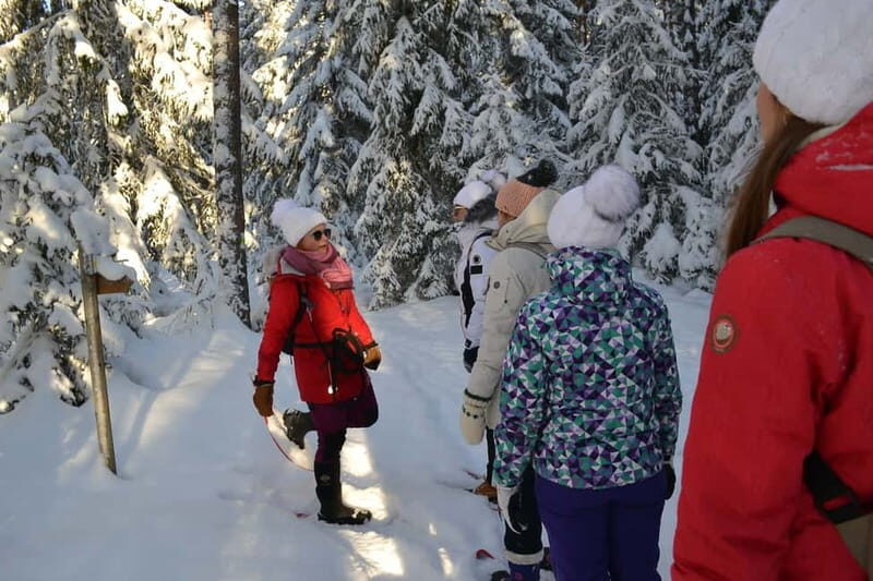 From Tallinn: Guided Bog-Shoe Hiking Tour - The Logistics and What to Expect