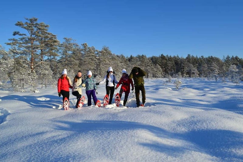 From Tallinn: Guided Bog-Shoe Hiking Tour - The Sum Up: Who Should Consider This Tour?