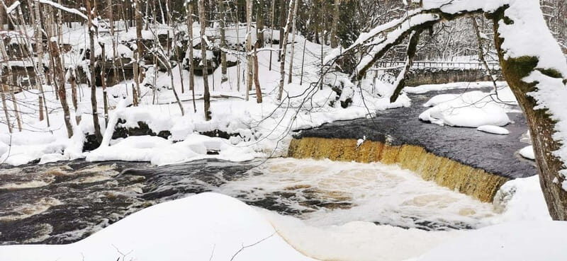 From Tallinn: Lahemaa National Park 3 Waterfall Hike - The Itinerary: A Deep Dive into the Waterfalls and Forests