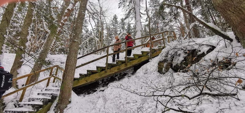 From Tallinn: Lahemaa National Park 3 Waterfall Hike - Who Will Love This Tour?
