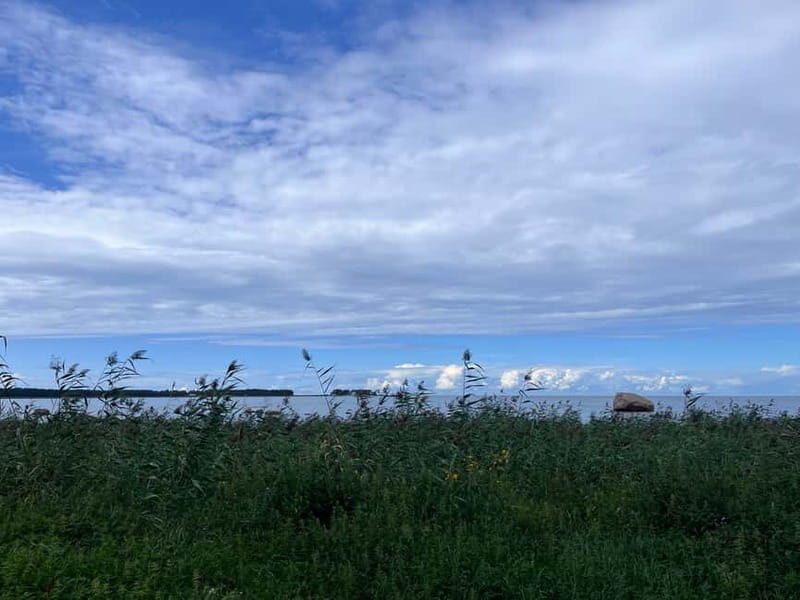 From Tallinn: Lahemaa National Park Day Trip - What Makes This Tour Stand Out