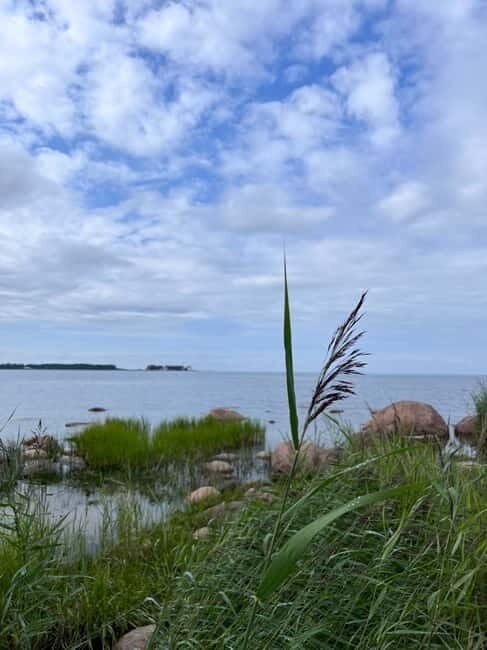 From Tallinn: Lahemaa National Park Day Trip - Who Should Consider This Tour?