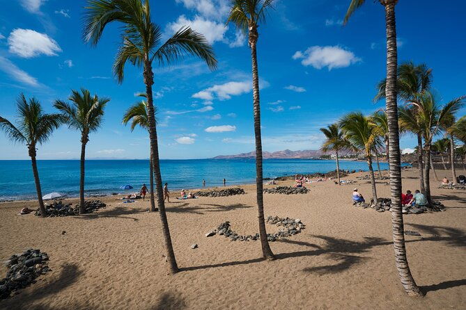 from-tamarindo-to-san-jose-airport-shuttle-service