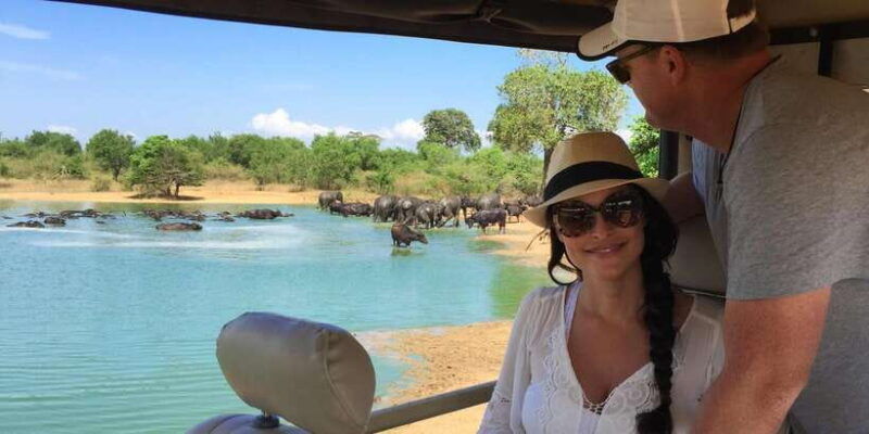 from-tangalle-hiriketiya-ella-transfer-udawalawe-safari